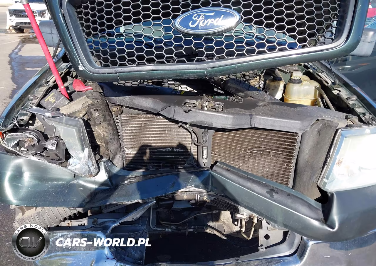 2004 Ford F-150 Lariat-Xlt VIN:1FTRX12534KD30548 - 10