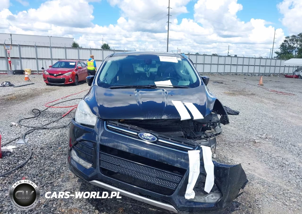 2013 Ford Escape Sel VIN:1FMCU0HX7DUA32876 - 13