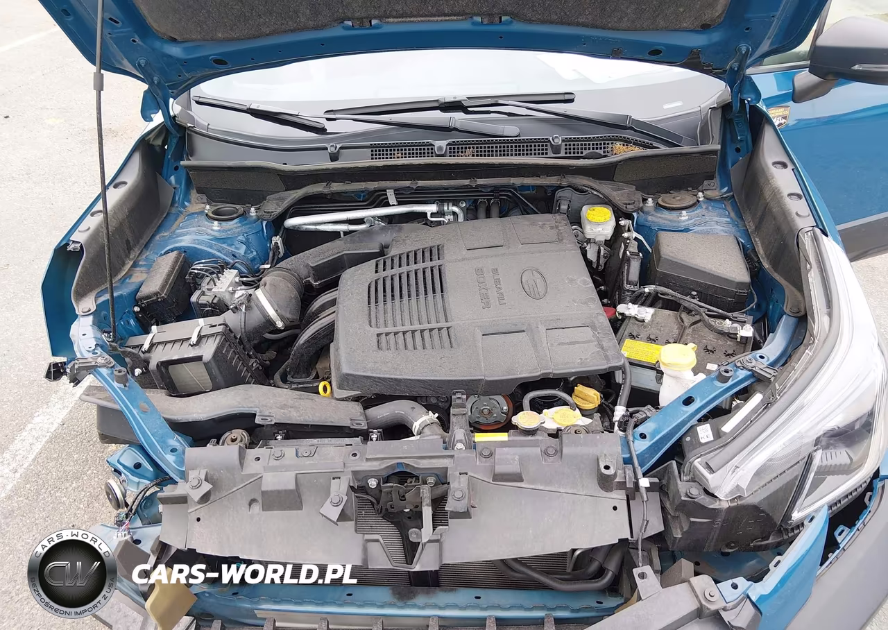 2024 Subaru Forester Wilderness VIN:JF2SKAJC5RH528781 - 10