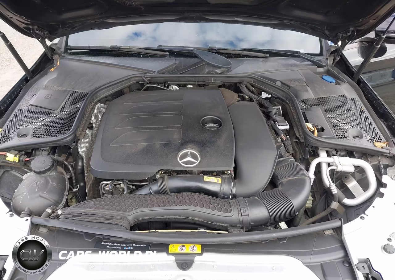 2019 Mercedes-Benz C 300 VIN:55SWF8DB3KU309063 - 10