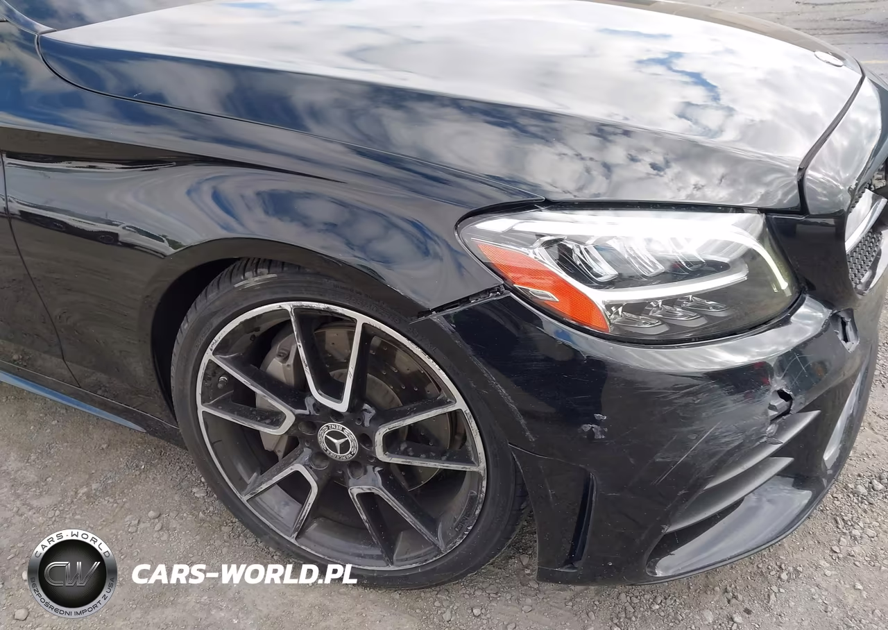 2019 Mercedes-Benz C 300 VIN:55SWF8DB3KU309063 - 6