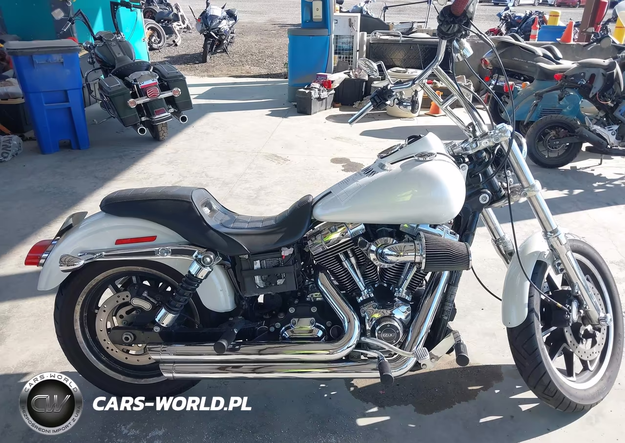 2014 Harley-Davidson Fxdl Dyna Low Rider VIN:1HD1GNM62EC331002 - 12
