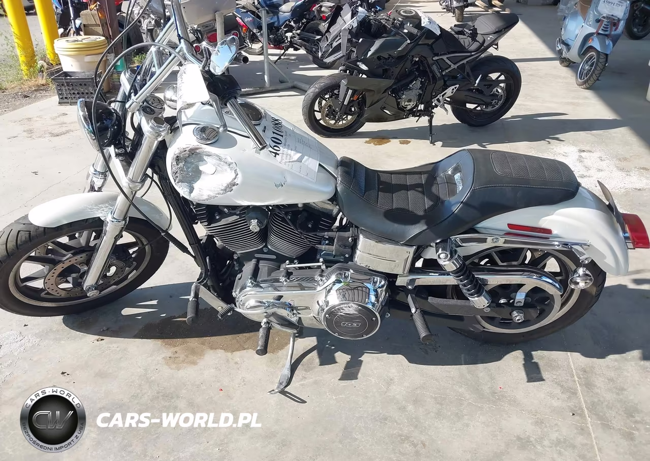 2014 Harley-Davidson Fxdl Dyna Low Rider VIN:1HD1GNM62EC331002 - 13