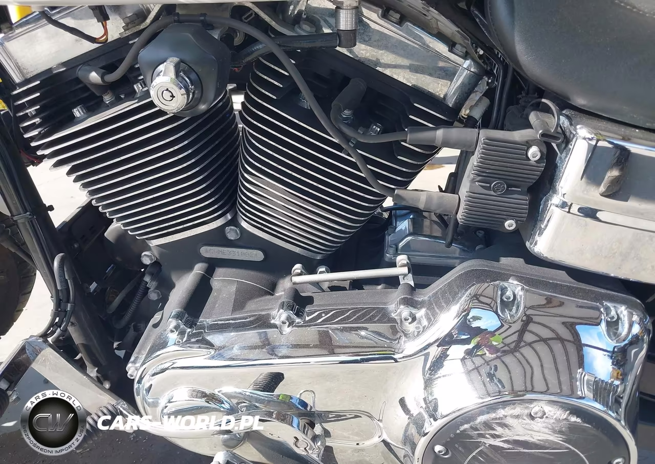 2014 Harley-Davidson Fxdl Dyna Low Rider VIN:1HD1GNM62EC331002 - 9
