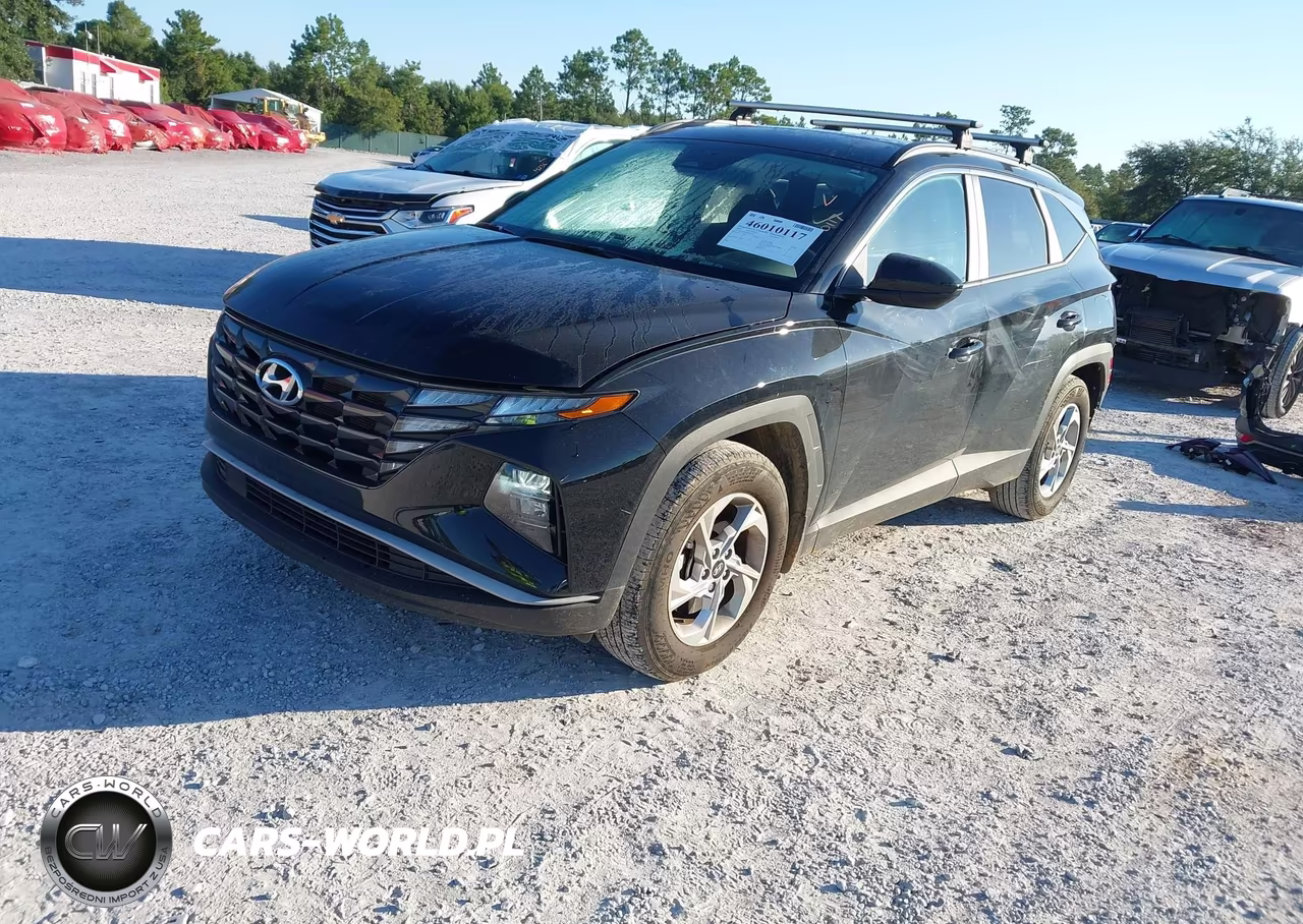 2024 Hyundai Tucson Sel VIN:5NMJB3DE0RH367547 - 2