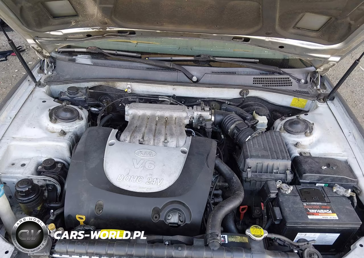 2004 Kia Optima Ex V6-Lx V6 VIN:KNAGD128145348973 - 10