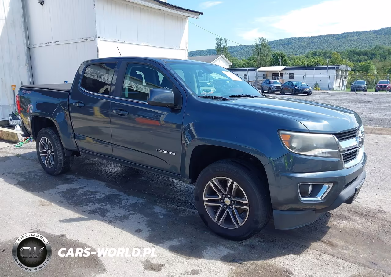 2019 Chevrolet Colorado Lt VIN:1GCGTCEN7K1121231 - 1