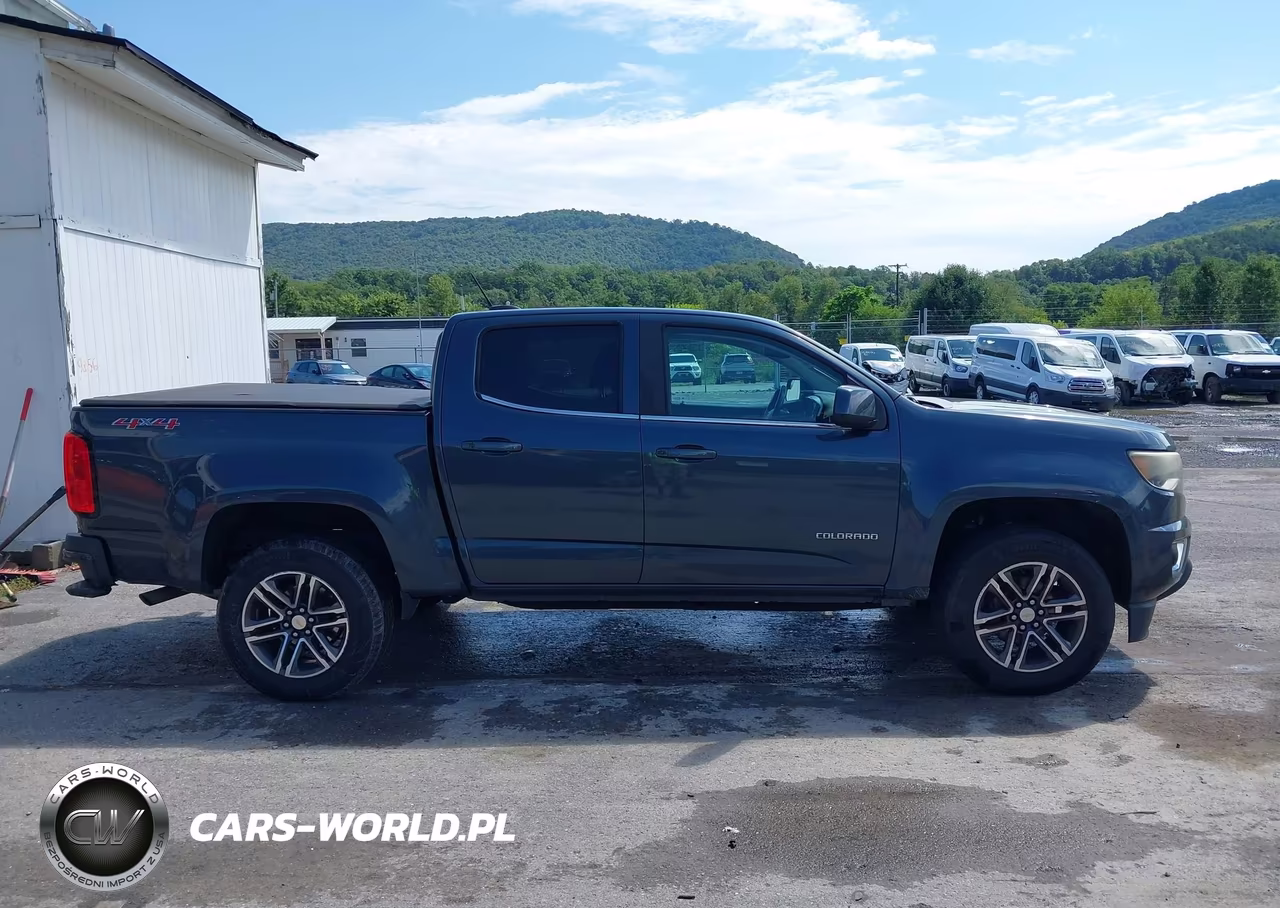 2019 Chevrolet Colorado Lt VIN:1GCGTCEN7K1121231 - 13