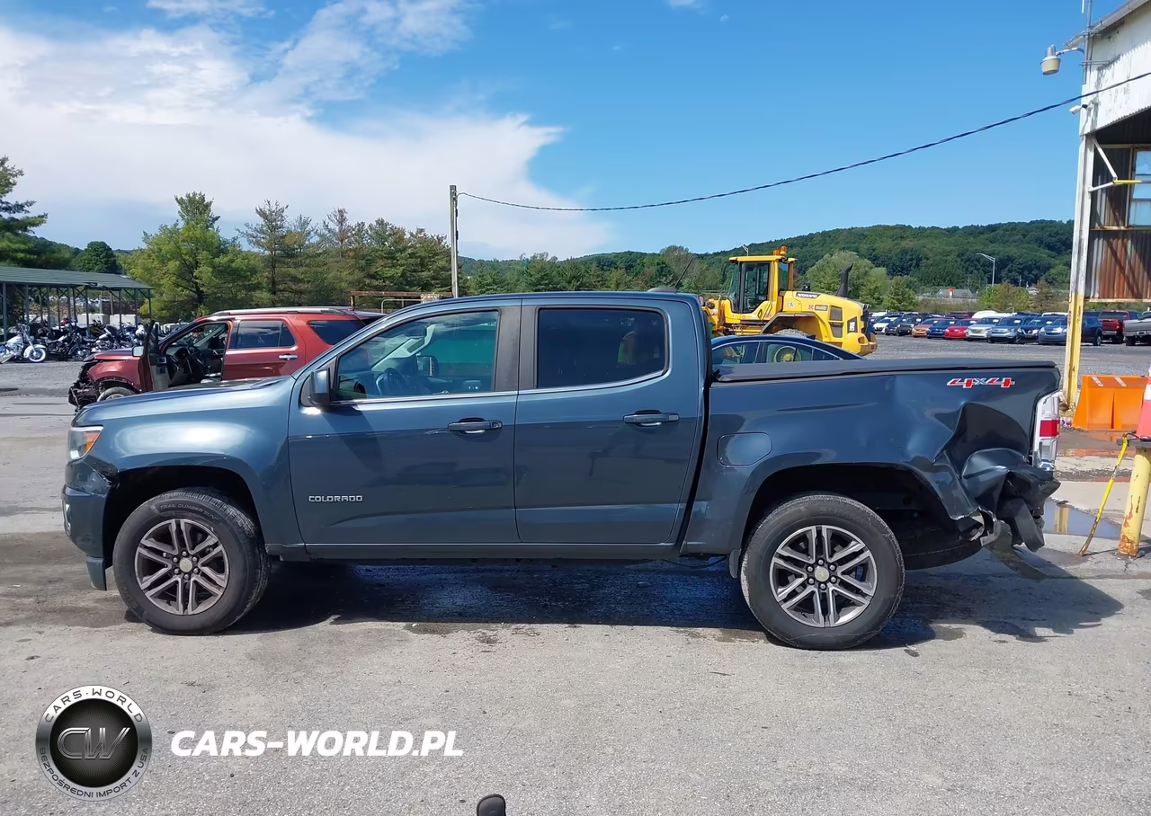 2019 Chevrolet Colorado Lt VIN:1GCGTCEN7K1121231 - 14