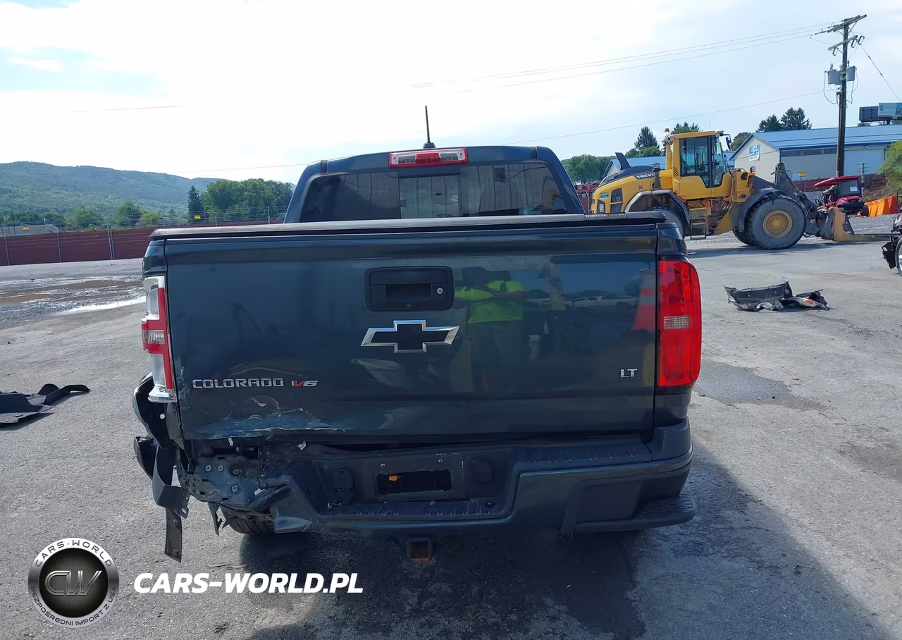 2019 Chevrolet Colorado Lt VIN:1GCGTCEN7K1121231 - 16