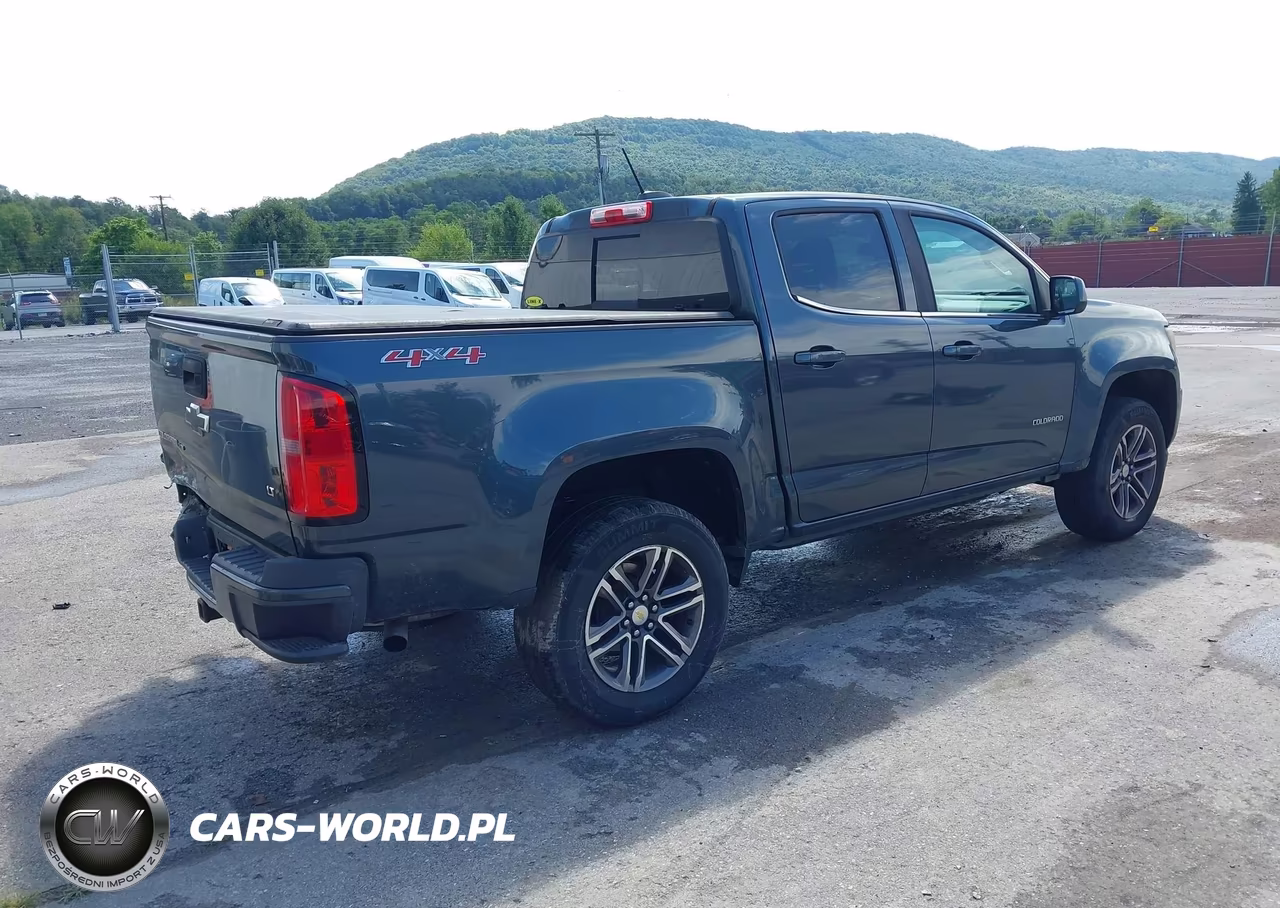 2019 Chevrolet Colorado Lt VIN:1GCGTCEN7K1121231 - 4