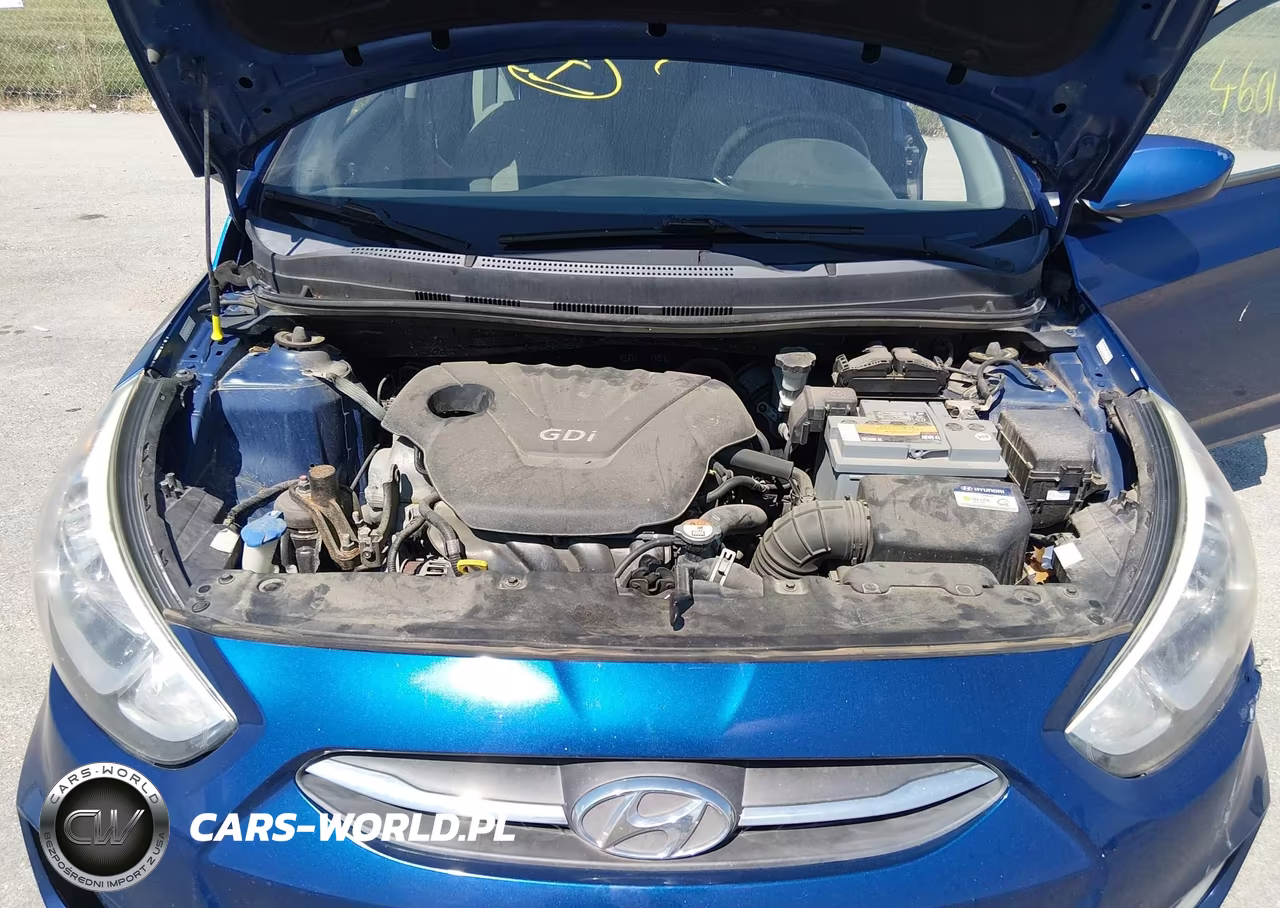 2016 Hyundai Accent Se VIN:KMHCT4AE8GU998970 - 10