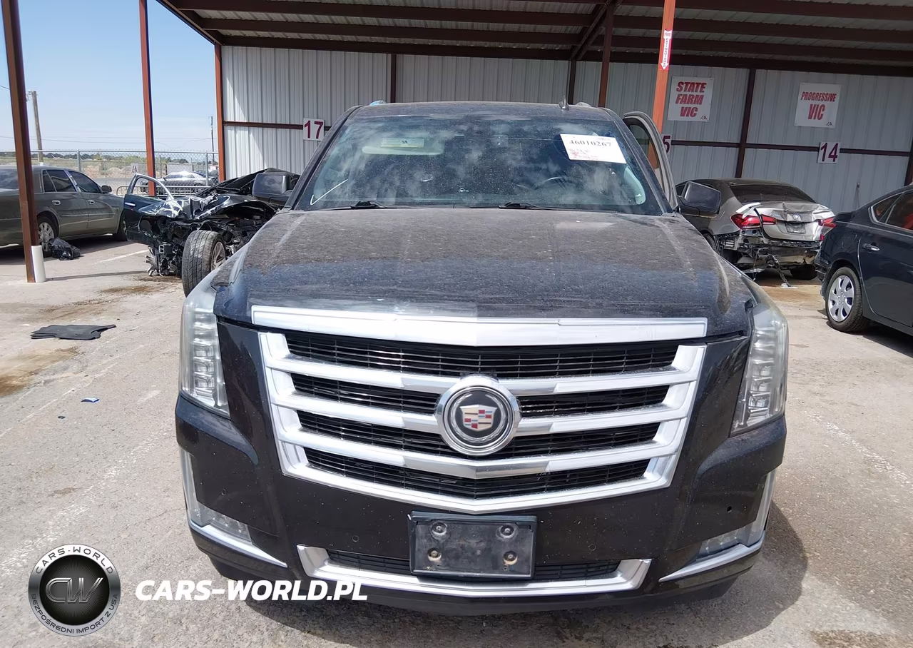 2015 Cadillac Escalade Esv Premium VIN:1GYS4JKJXFR196987 - 13