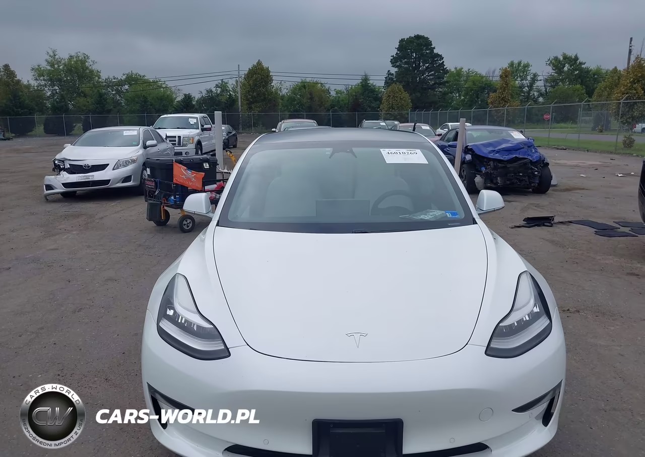 2020 Tesla Model 3 Standard Range Plus Rear-Wheel Drive-Standard Range Rear-Wheel Drive VIN:5YJ3E1EA6LF634635 - 11
