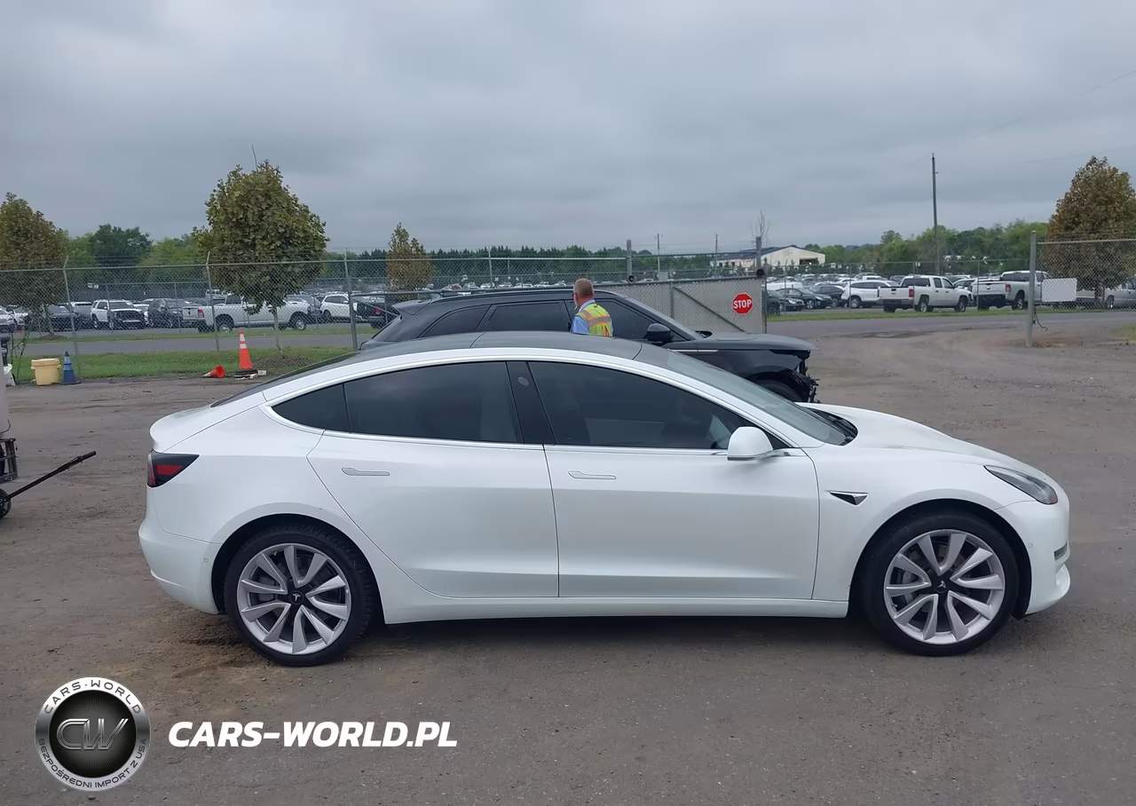 2020 Tesla Model 3 Standard Range Plus Rear-Wheel Drive-Standard Range Rear-Wheel Drive VIN:5YJ3E1EA6LF634635 - 12