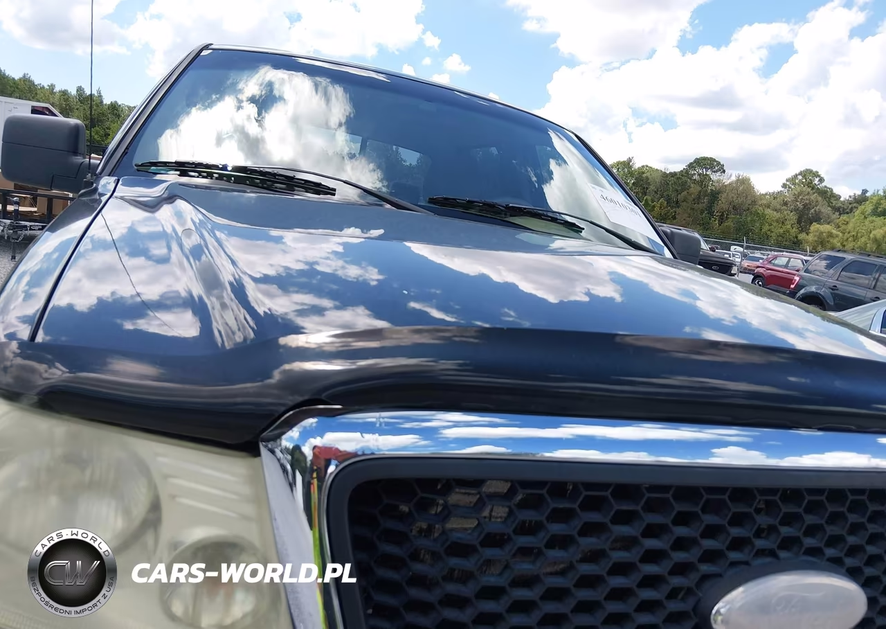2008 Ford F-150 60Th Anniversary-Fx4-King Ranch-Lariat-Xlt VIN:1FTPW14V48FB30865 - 6