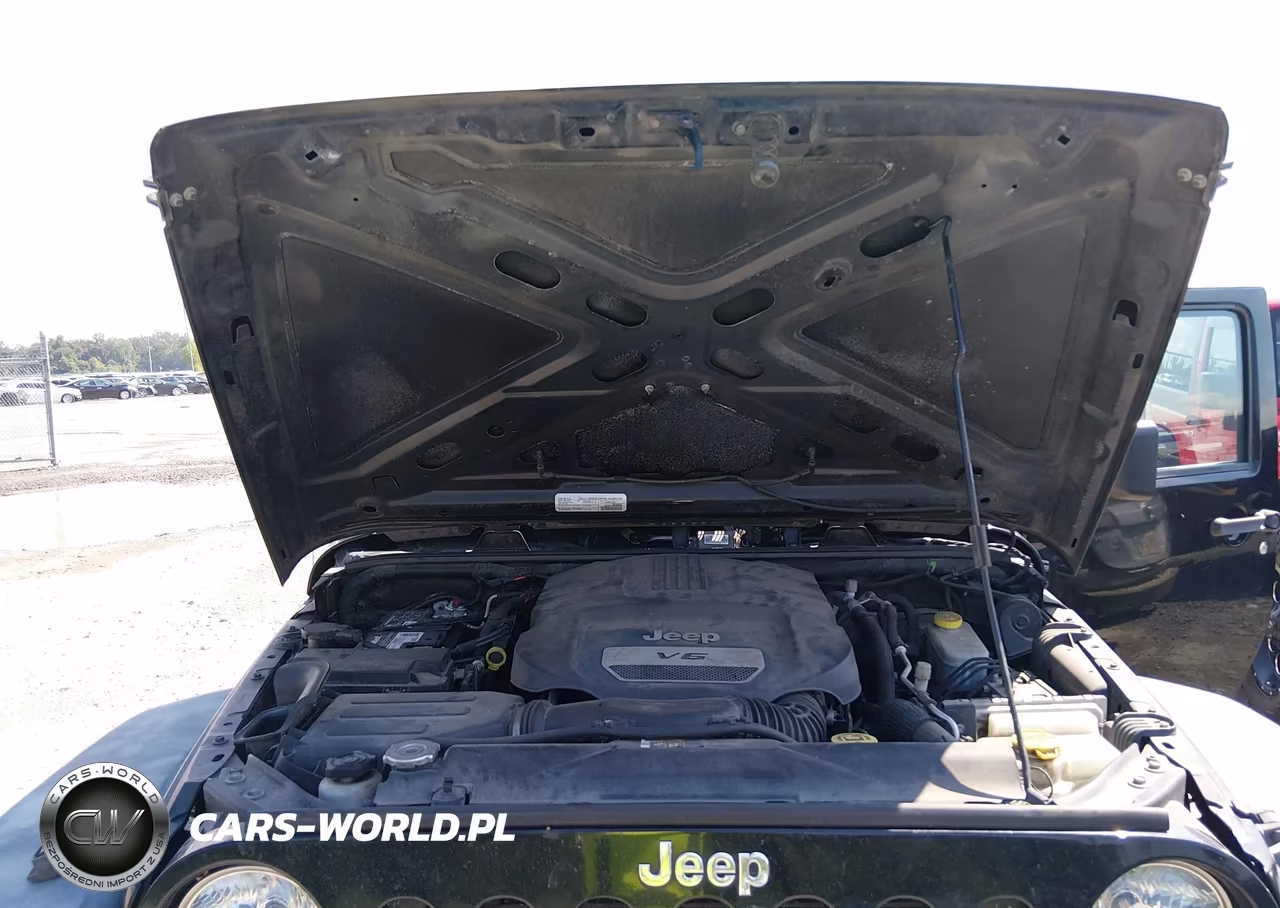 2017 Jeep Wrangler Unlimited Sport VIN:1C4BJWDG9HL739684 - 10