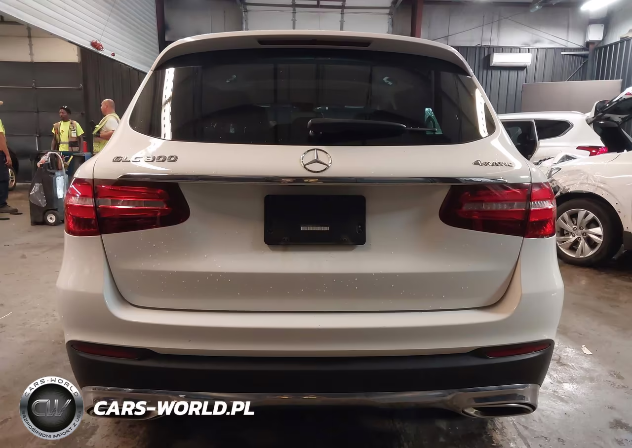 2019 Mercedes-Benz Glc 300 4Matic VIN:WDC0G4KB6KF663701 - 17