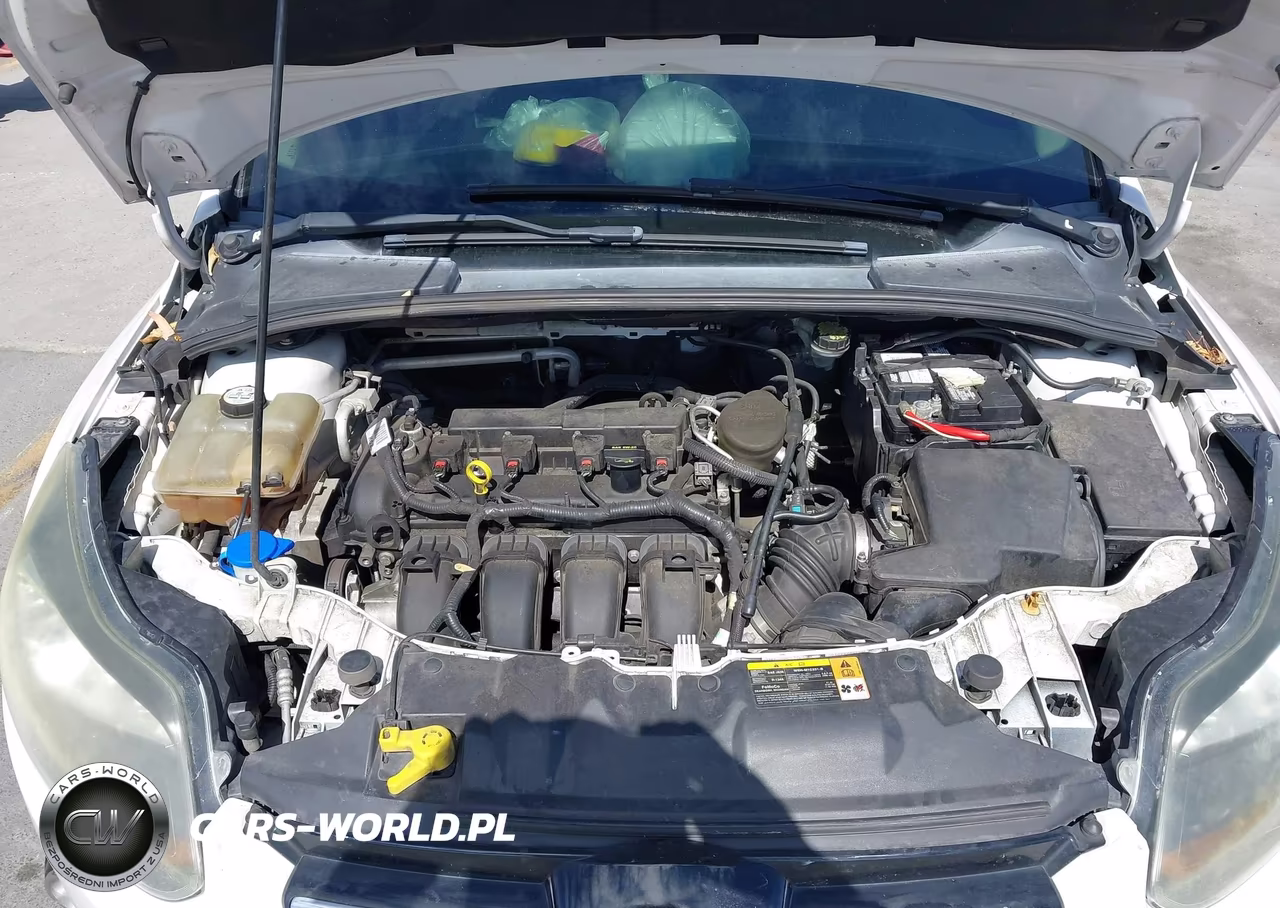 2013 Ford Focus Titanium VIN:1FADP3N22DL301615 - 10