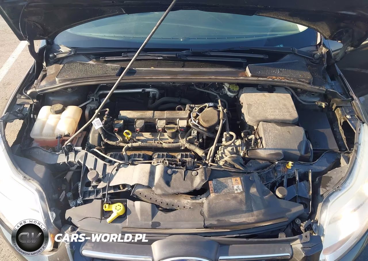 2014 Ford Focus Se VIN:1FADP3K23EL373283 - 10
