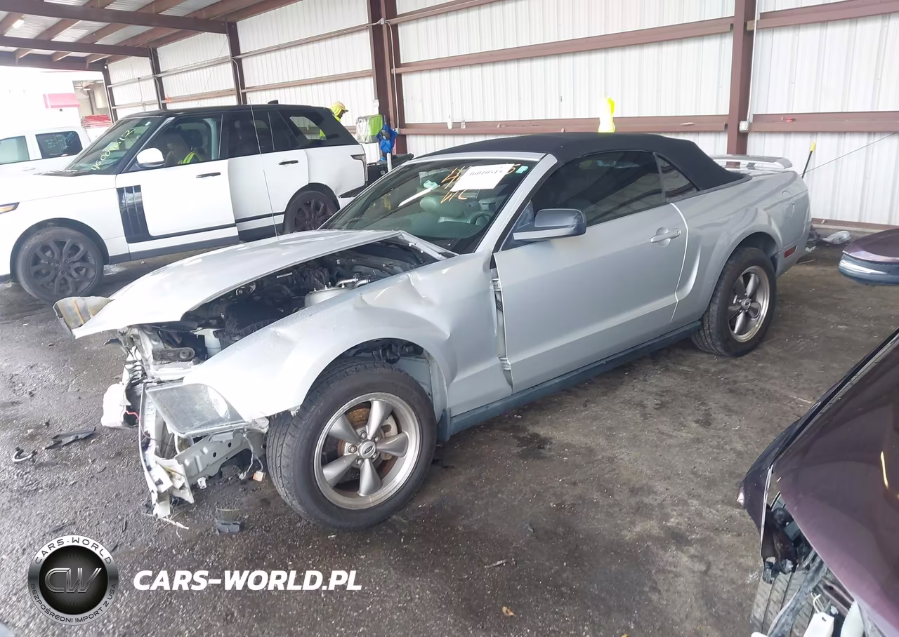 2005 Ford Mustang VIN:1ZVFT84N155207252 - 2