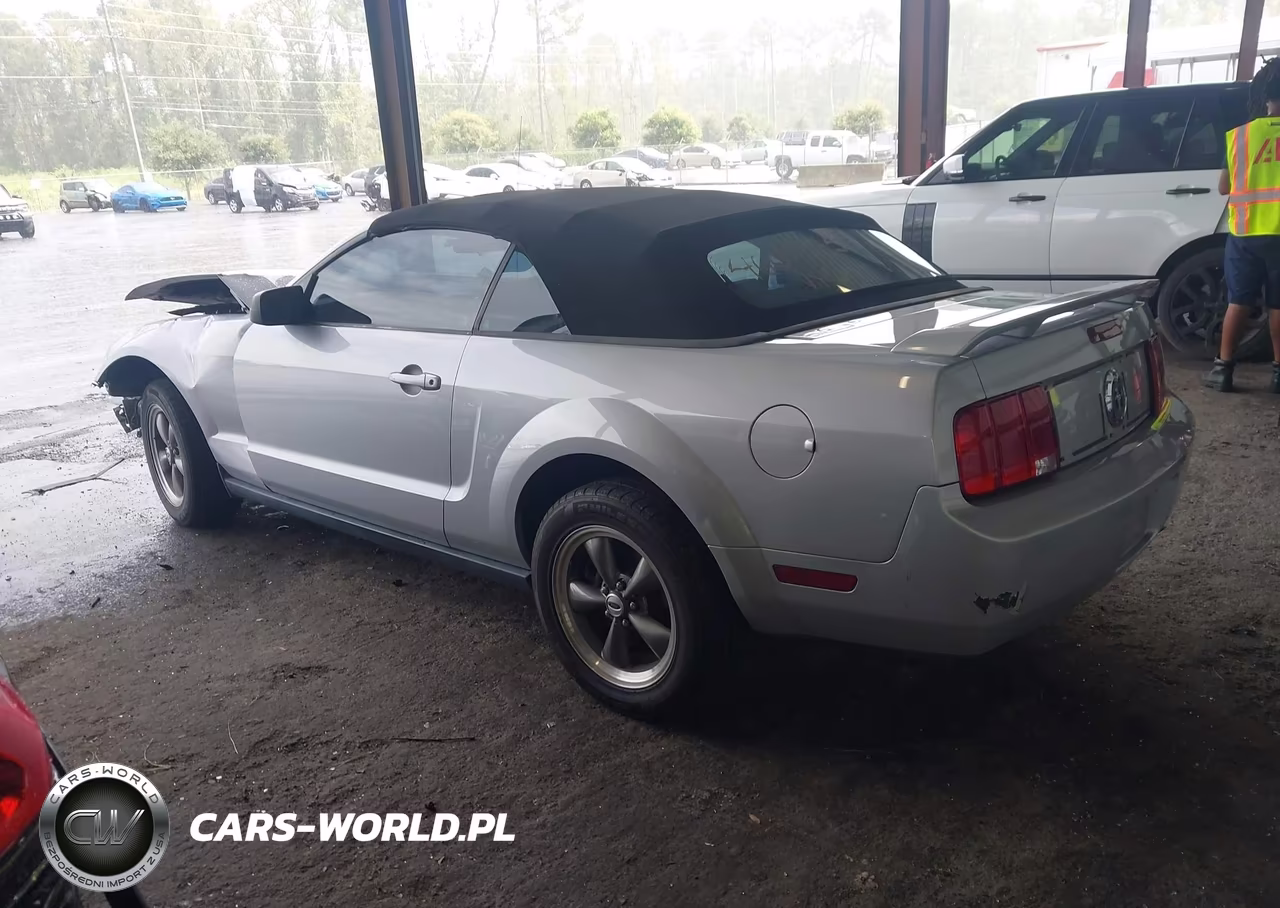 2005 Ford Mustang VIN:1ZVFT84N155207252 - 3