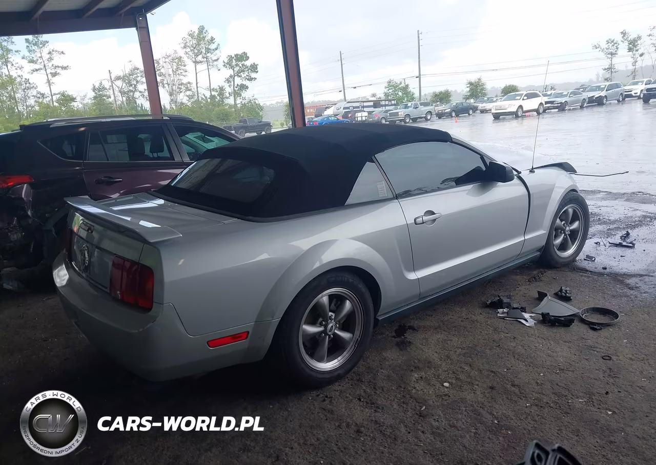 2005 Ford Mustang VIN:1ZVFT84N155207252 - 4