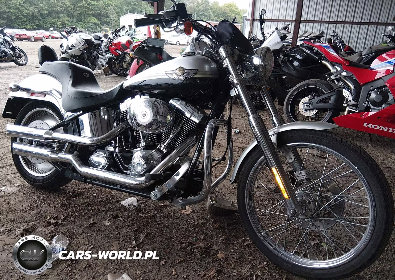 2003 Harley-Davidson Fxstdi Anniversary VIN:1HD1JBB443Y074250 - 1