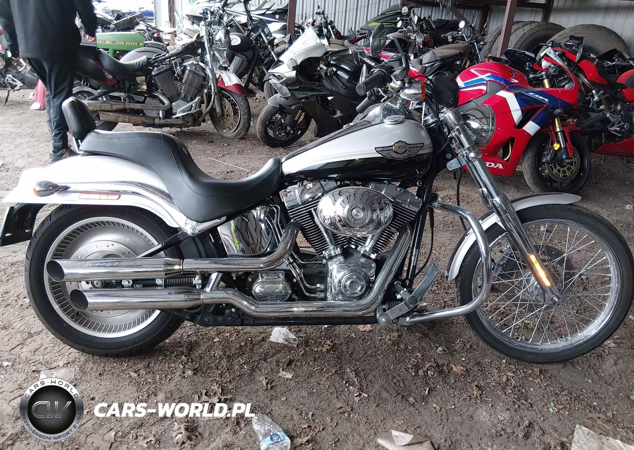 2003 Harley-Davidson Fxstdi Anniversary VIN:1HD1JBB443Y074250 - 12