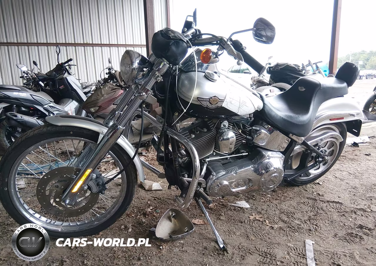 2003 Harley-Davidson Fxstdi Anniversary VIN:1HD1JBB443Y074250 - 2