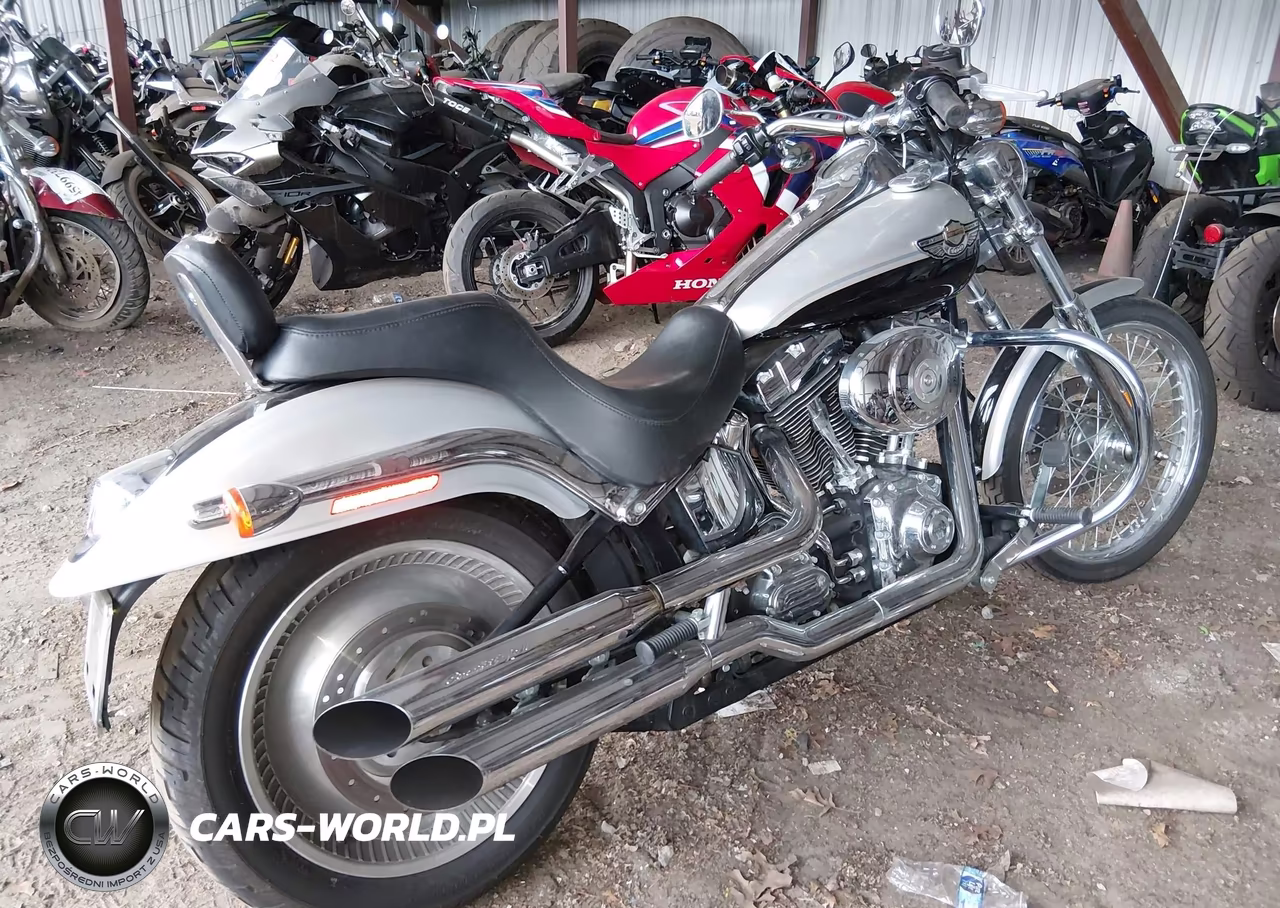2003 Harley-Davidson Fxstdi Anniversary VIN:1HD1JBB443Y074250 - 4