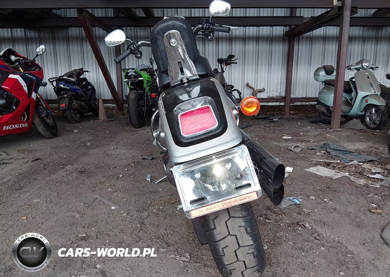 2003 Harley-Davidson Fxstdi Anniversary VIN:1HD1JBB443Y074250 - 6