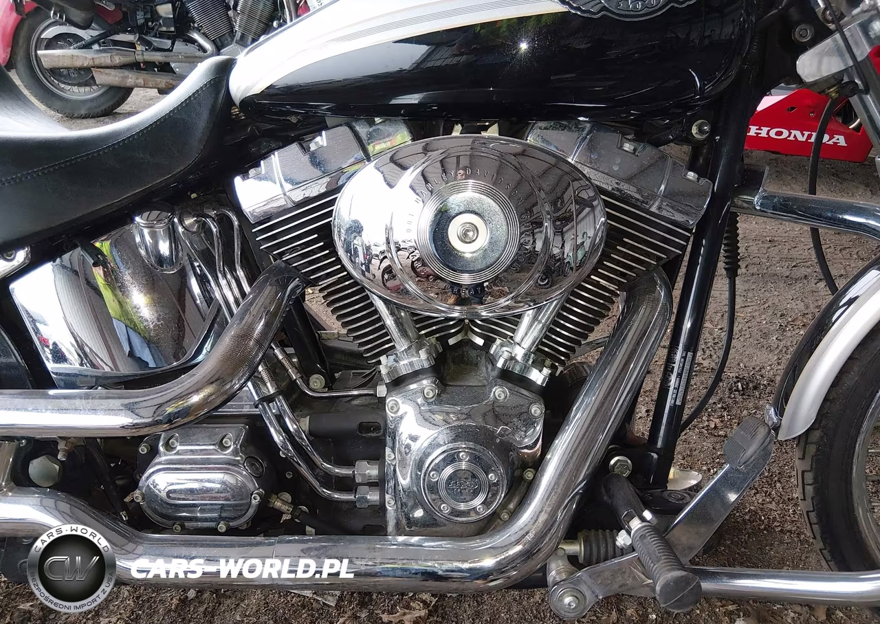2003 Harley-Davidson Fxstdi Anniversary VIN:1HD1JBB443Y074250 - 8