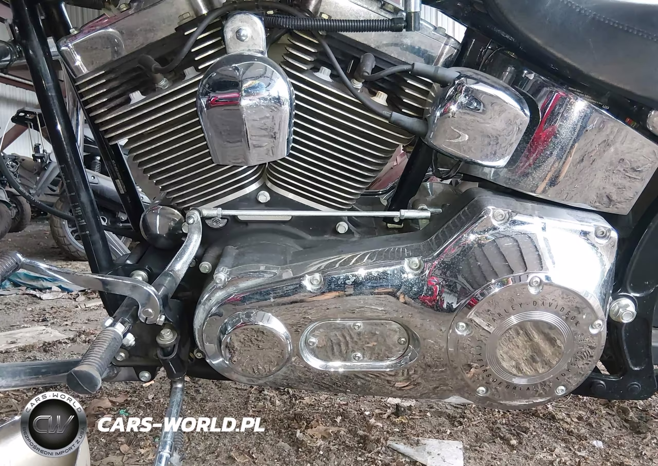 2003 Harley-Davidson Fxstdi Anniversary VIN:1HD1JBB443Y074250 - 9