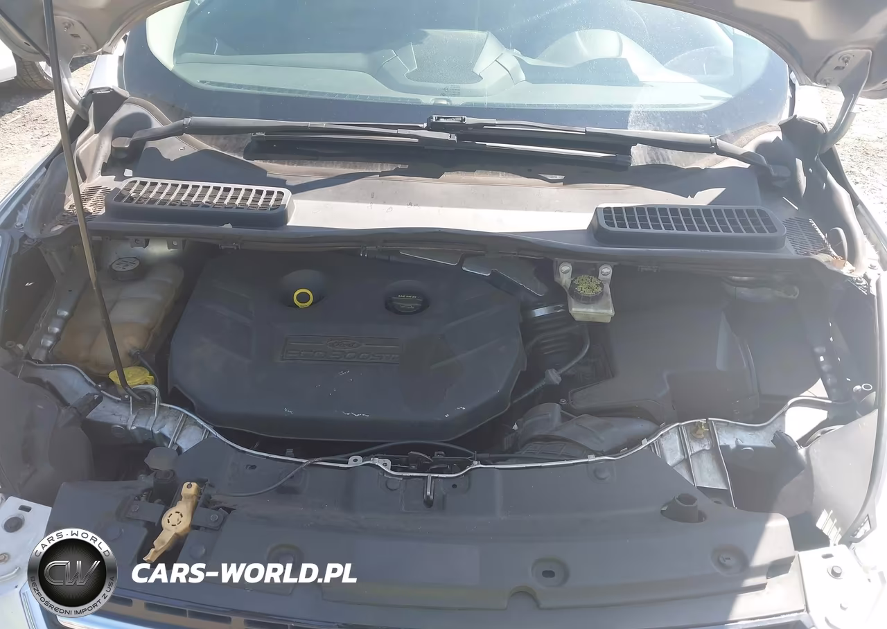 2013 Ford Escape Sel VIN:1FMCU0H94DUA79610 - 10
