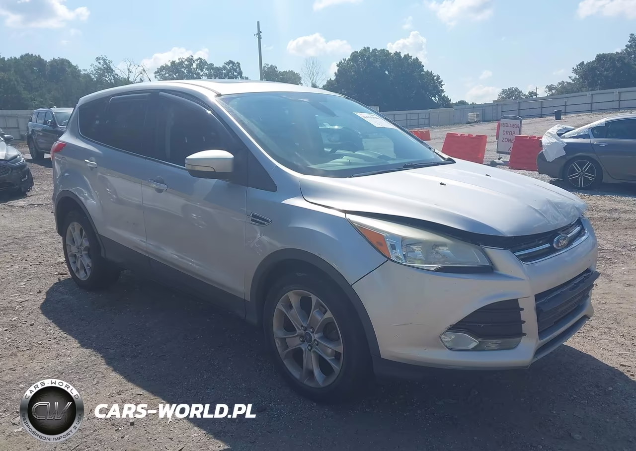 2013 Ford Escape Sel VIN:1FMCU0H94DUA79610 - 12