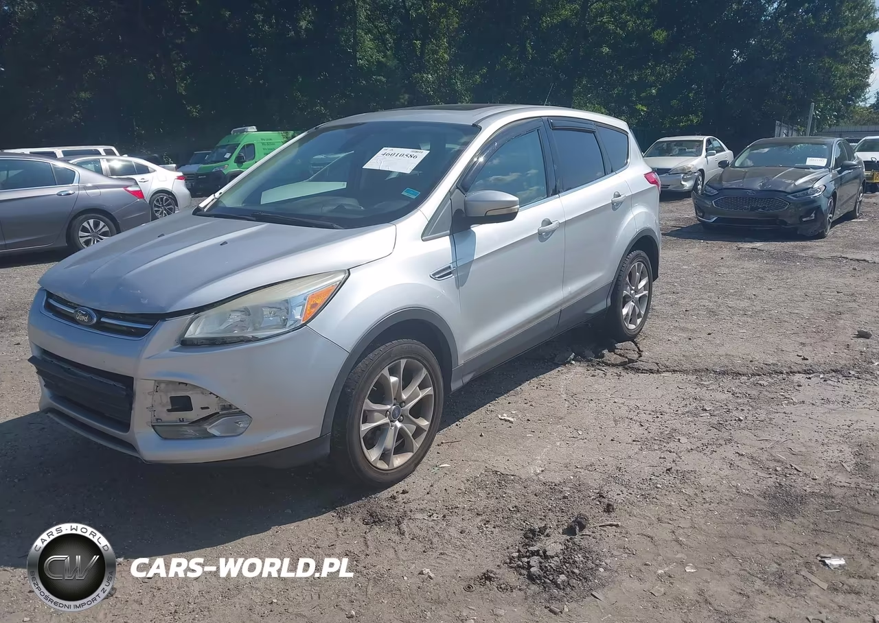 2013 Ford Escape Sel VIN:1FMCU0H94DUA79610 - 2
