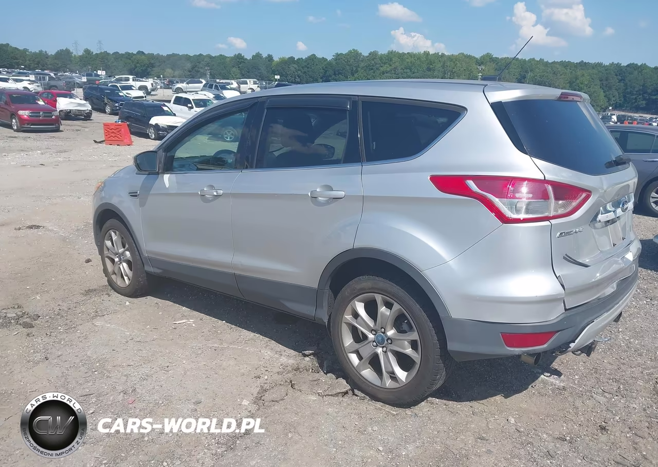 2013 Ford Escape Sel VIN:1FMCU0H94DUA79610 - 3