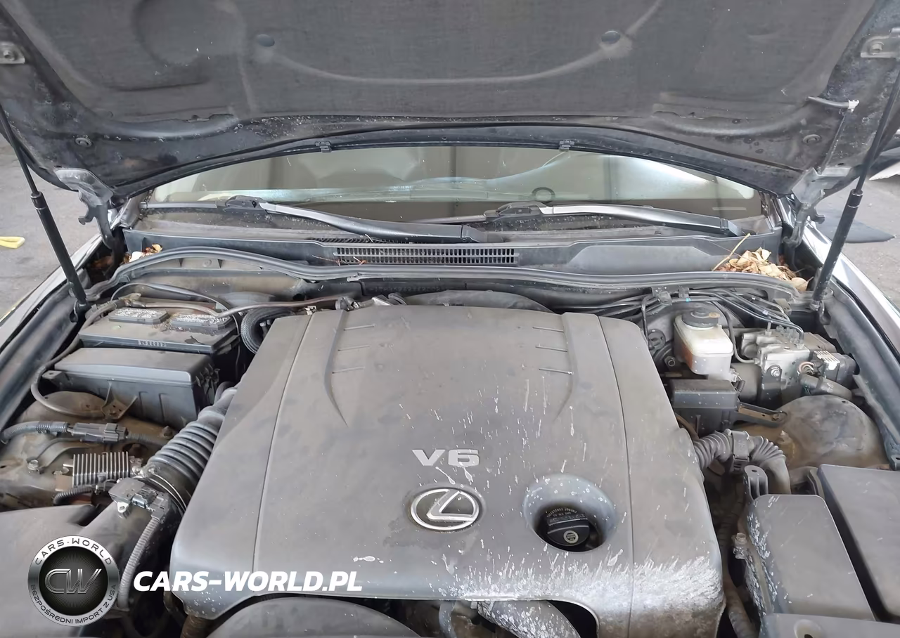 2006 Lexus Is 250 VIN:JTHBK262962002820 - 10