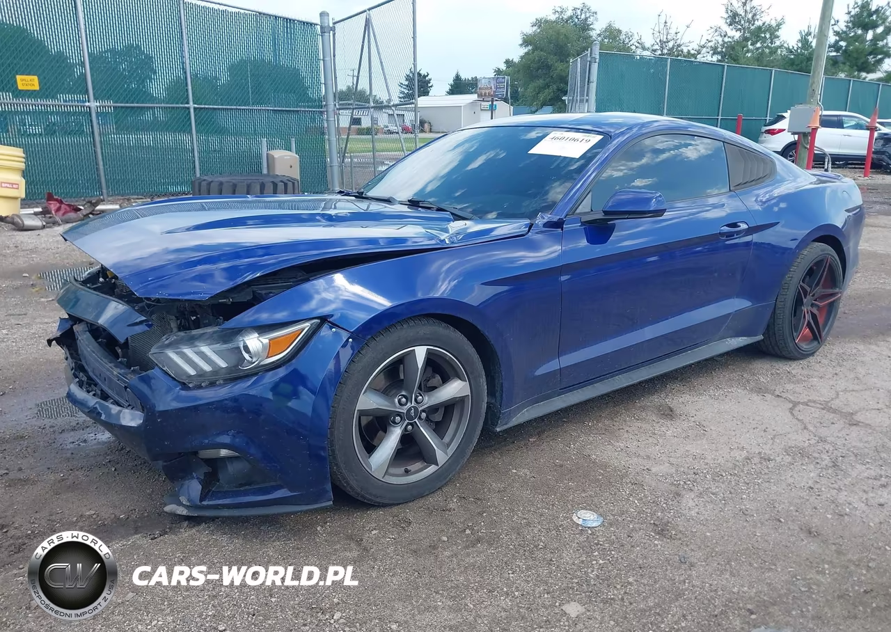 2015 Ford Mustang V6 VIN:1FA6P8AM5F5361005 - 2