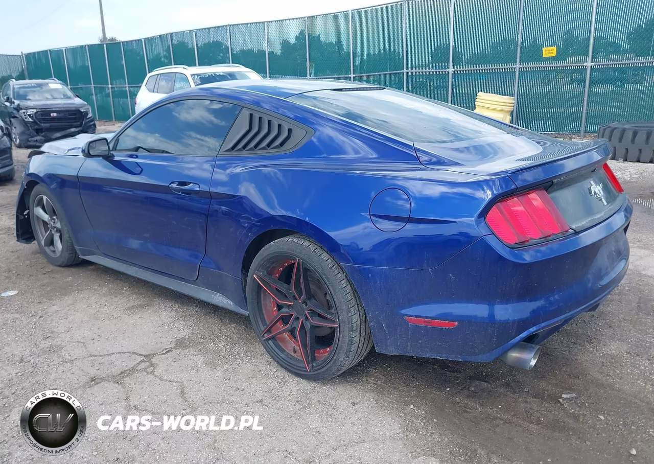 2015 Ford Mustang V6 VIN:1FA6P8AM5F5361005 - 3