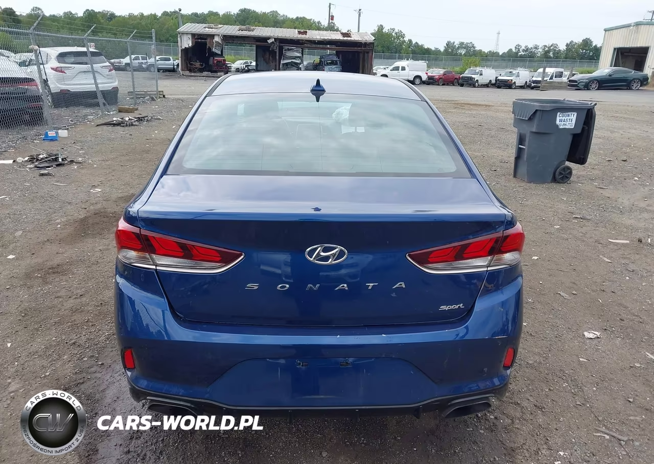 2018 Hyundai Sonata Sport+ VIN:5NPE34AF2JH709640 - 16