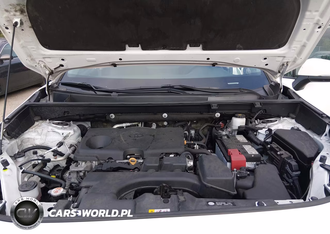 2023 Toyota Rav4 Xle VIN:2T3P1RFV6PC384733 - 10