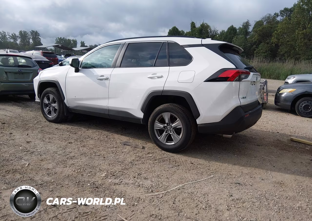 2023 Toyota Rav4 Xle VIN:2T3P1RFV6PC384733 - 3