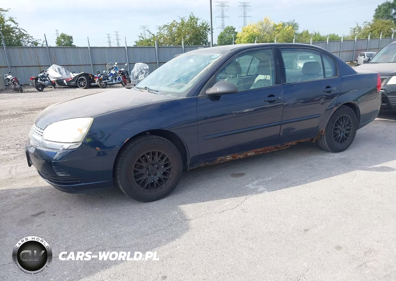 2004 Chevrolet Malibu Ls VIN:1G1ZT548X4F138801 - 2