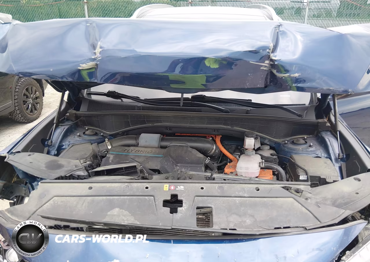 2023 Hyundai Santa Fe Hybrid Limited VIN:5NMS5DA13PH006944 - 10