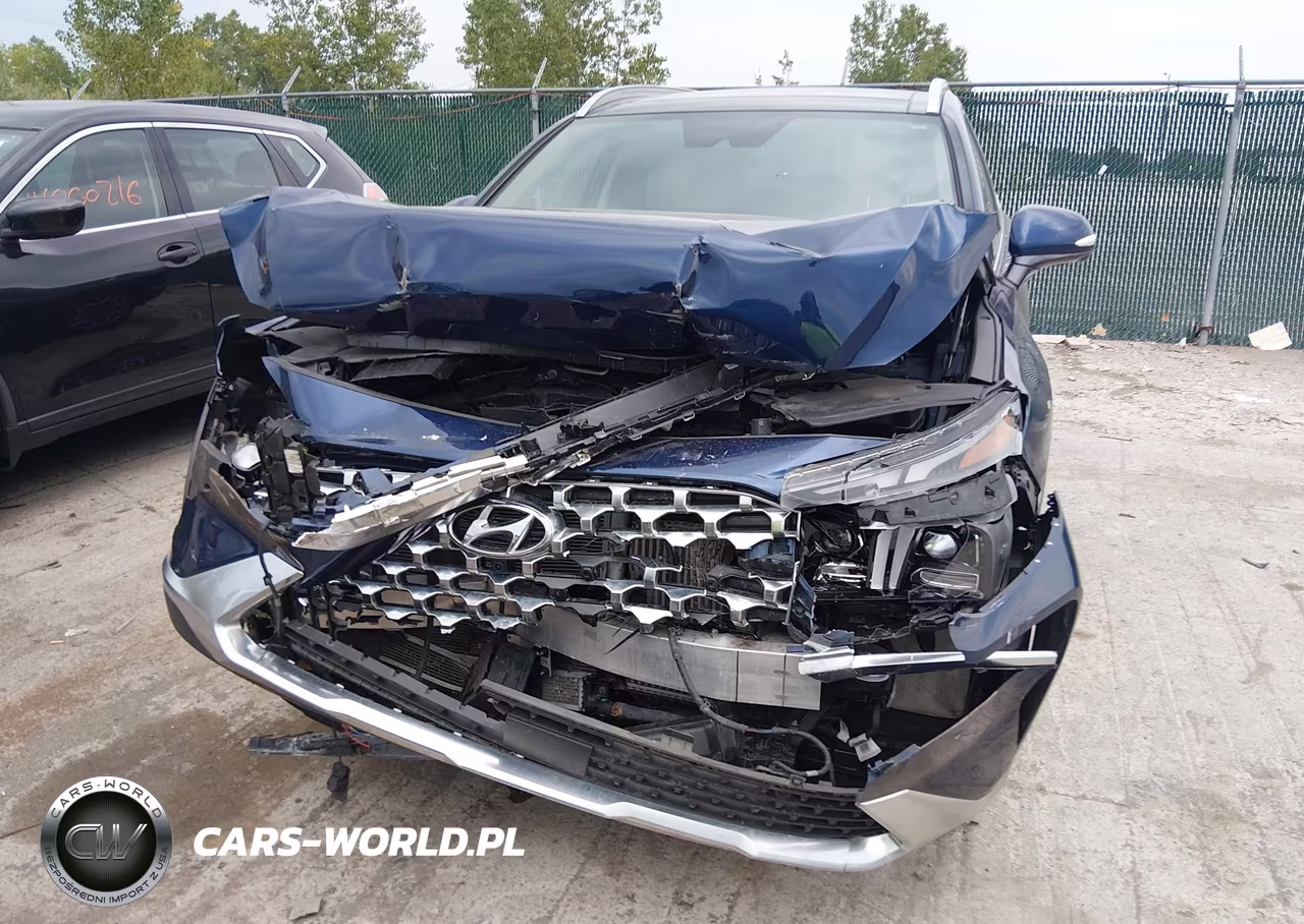 2023 Hyundai Santa Fe Hybrid Limited VIN:5NMS5DA13PH006944 - 6