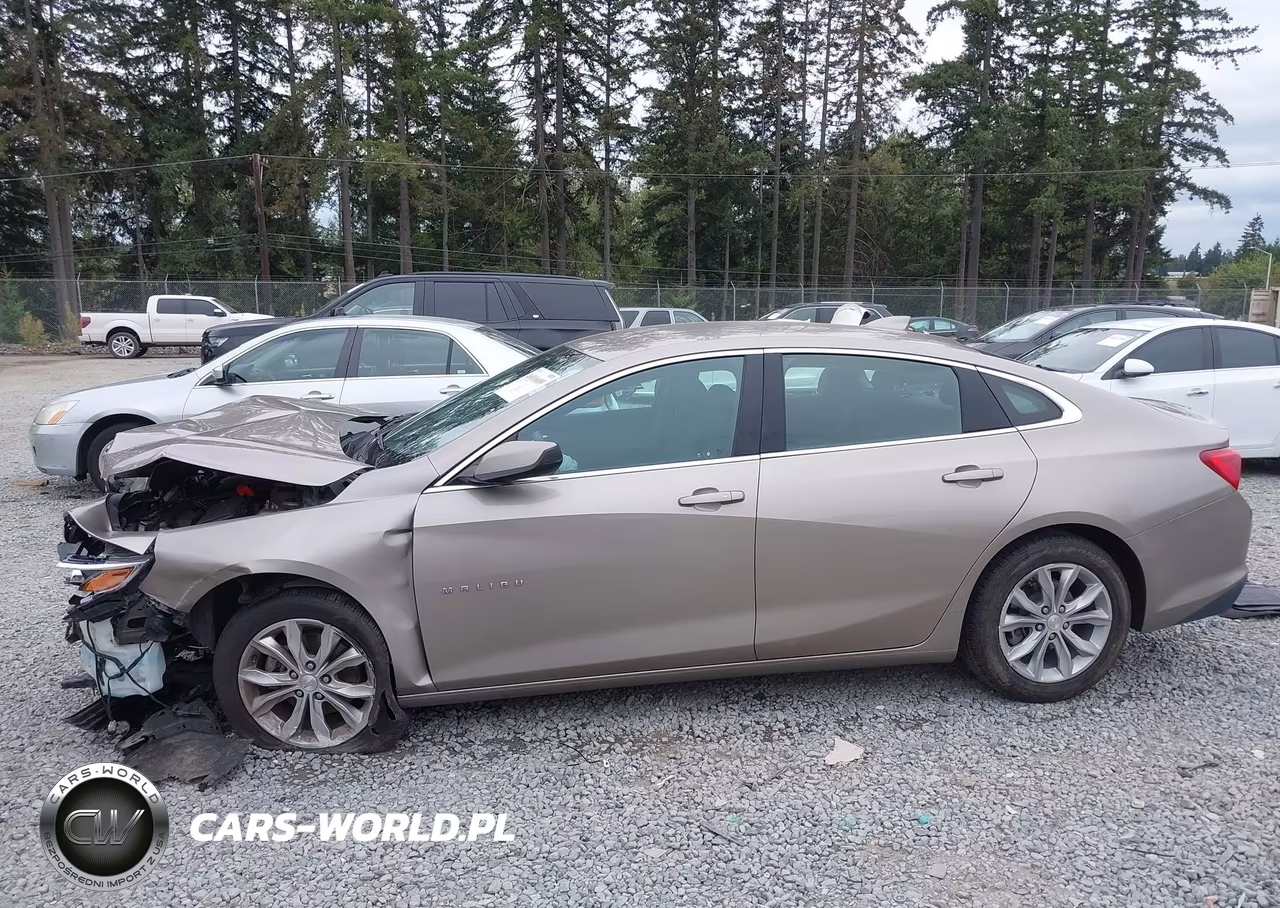 2023 Chevrolet Malibu Fwd 1Lt VIN:1G1ZD5ST4PF216336 - 14
