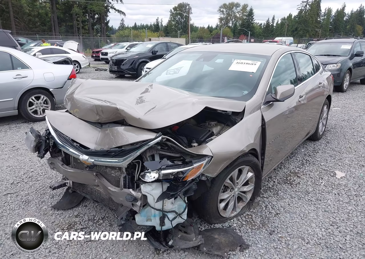 2023 Chevrolet Malibu Fwd 1Lt VIN:1G1ZD5ST4PF216336 - 2