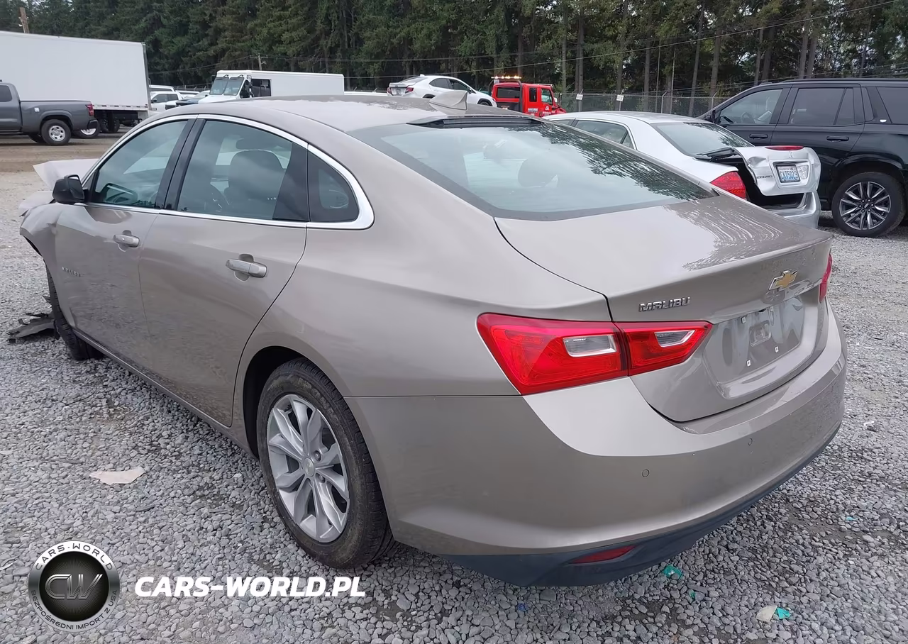 2023 Chevrolet Malibu Fwd 1Lt VIN:1G1ZD5ST4PF216336 - 3